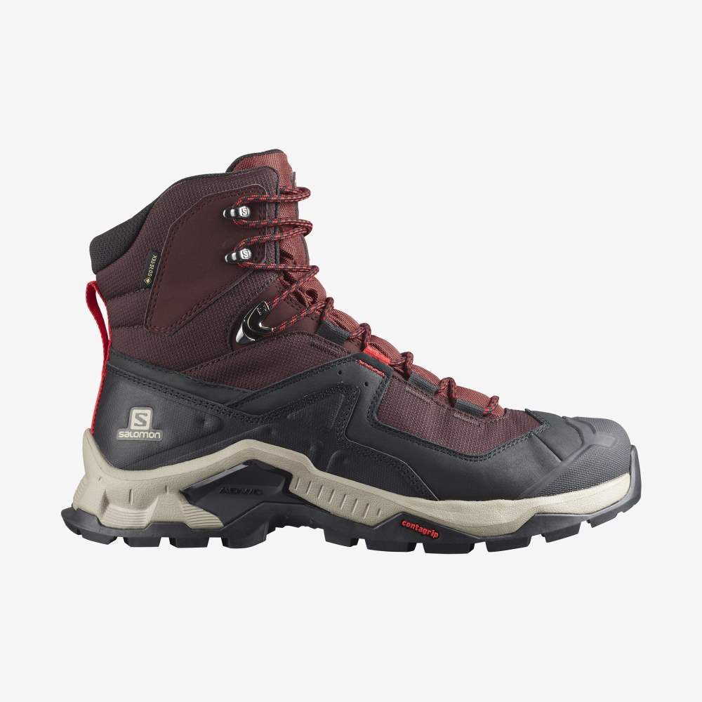 Purple Brown Salomon Quest Element Gore-Tex Men's Hiking Shoes | 075342UWA